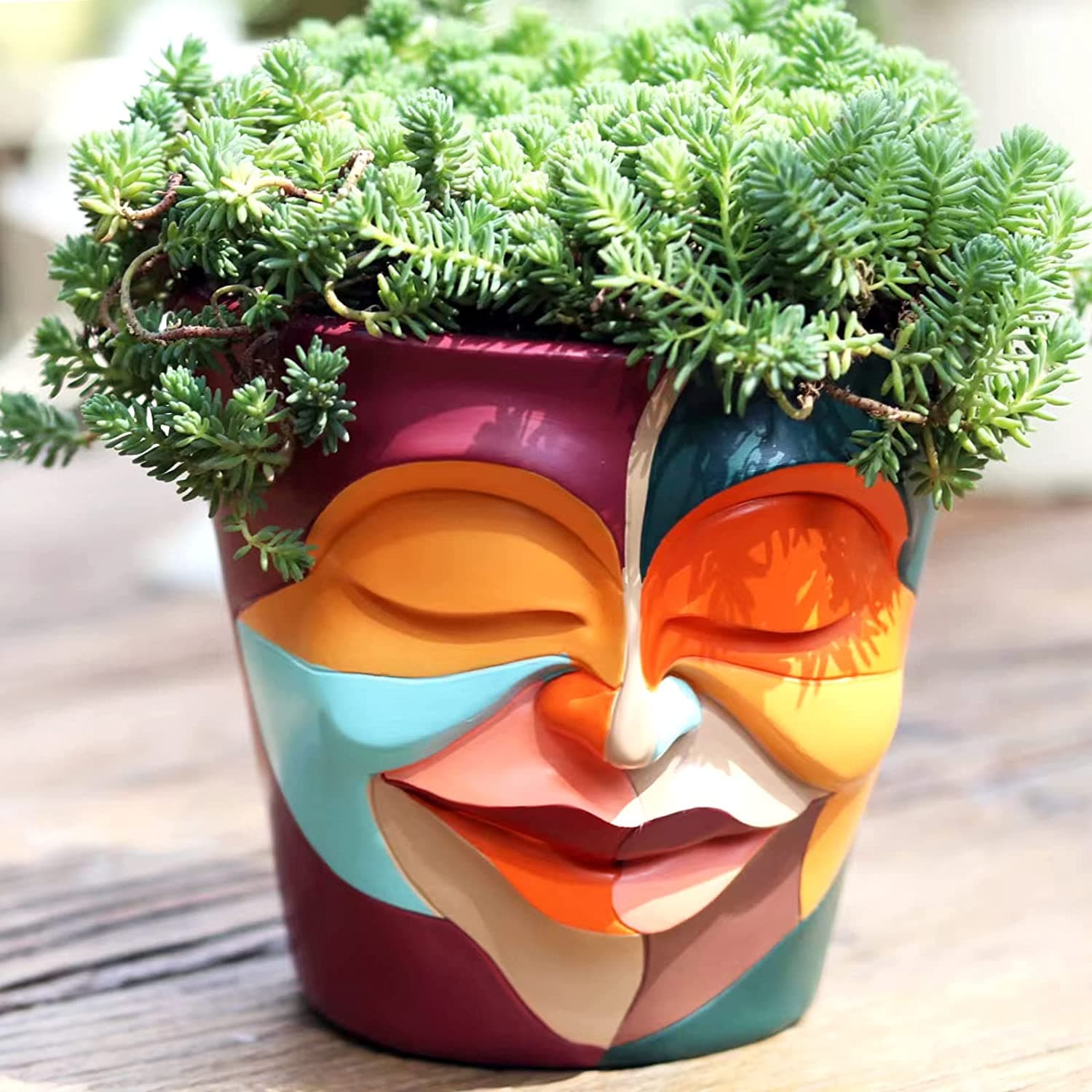 Pot de fleur Visage
